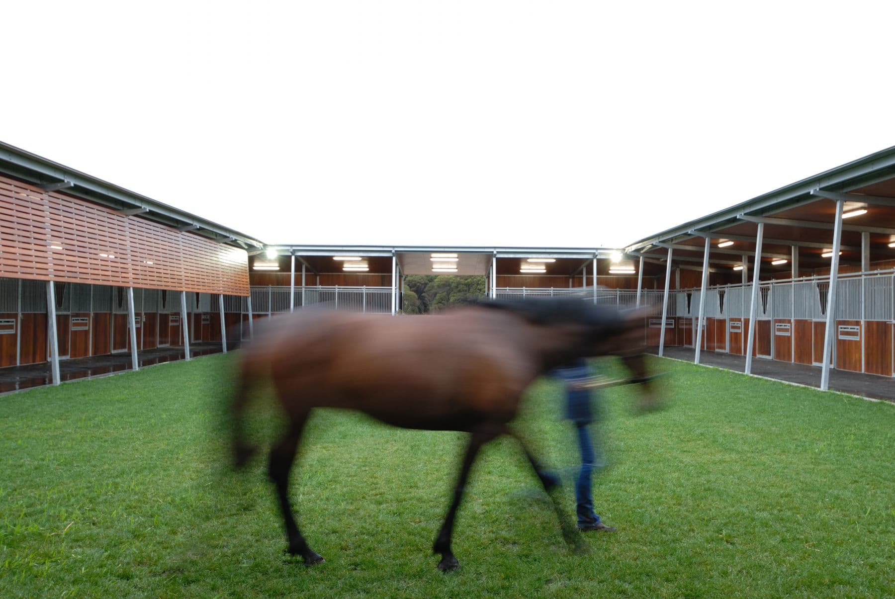 Boneo Park Equestrian Centre, image 2