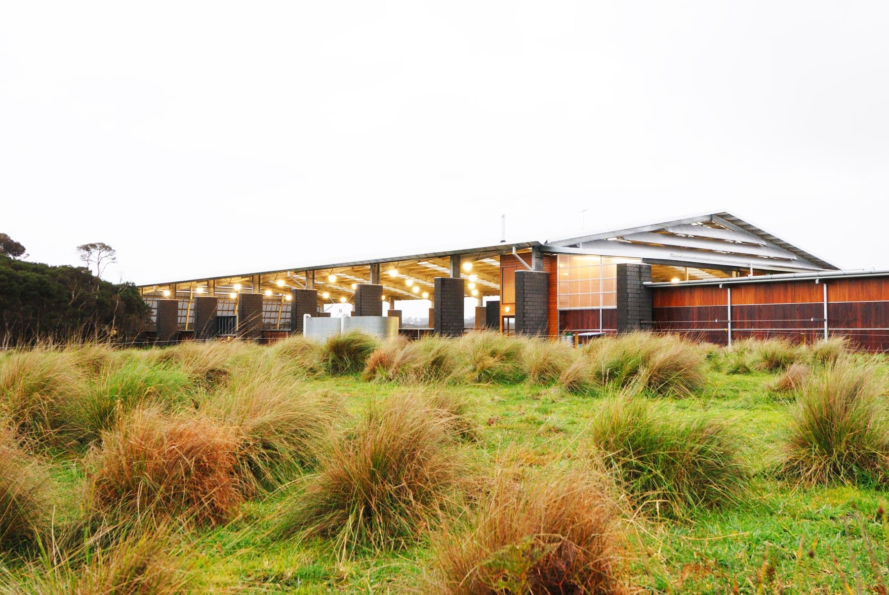 Boneo Park Equestrian Centre, image 6