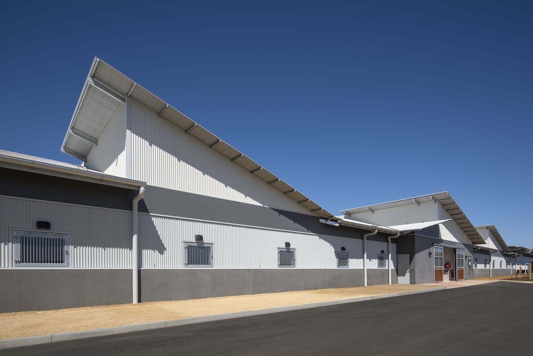 South Australian Police Mounted Operations Unit, image 5