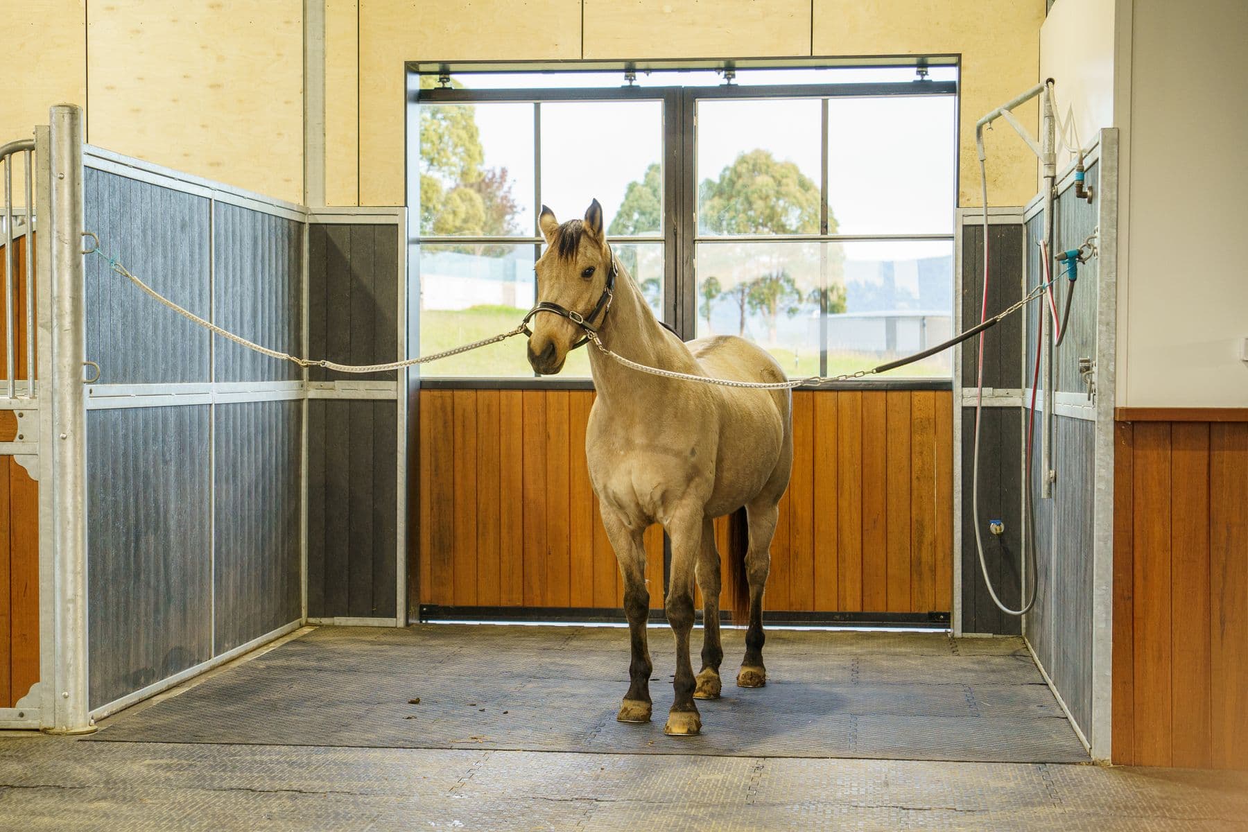 Sandy Creek Stables, image 11